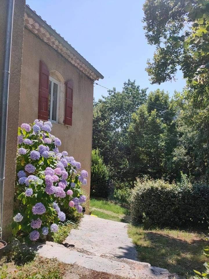 Suite Bambou Bien-Etre A Bali - Le Soleil Des Cevennes Сен-Жан-дю-Гар Экстерьер фото