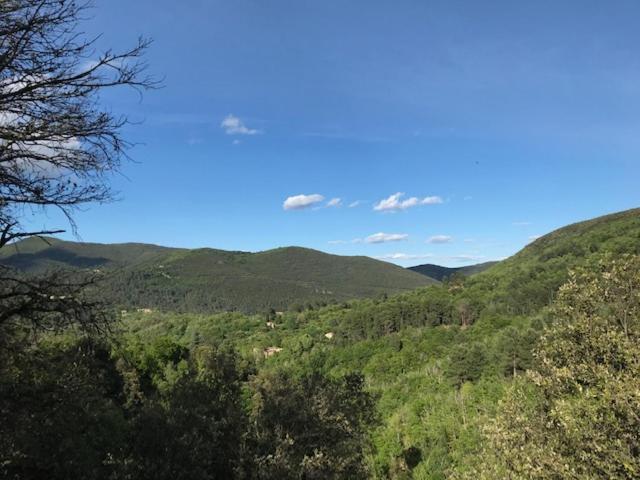 Suite Bambou Bien-Etre A Bali - Le Soleil Des Cevennes Сен-Жан-дю-Гар Экстерьер фото