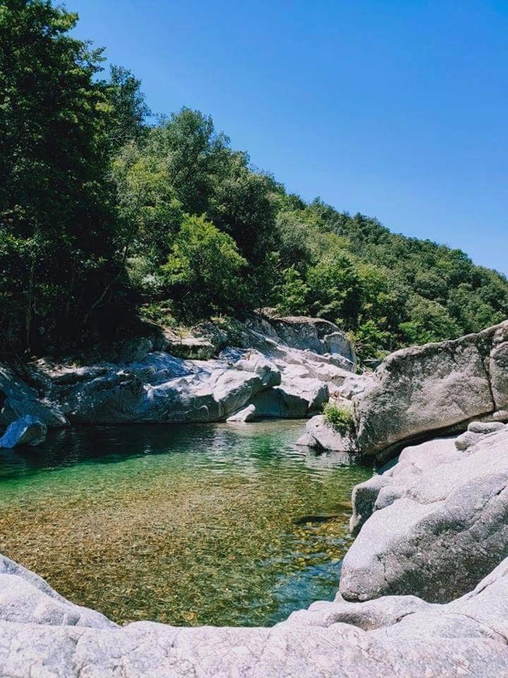 Suite Bambou Bien-Etre A Bali - Le Soleil Des Cevennes Сен-Жан-дю-Гар Экстерьер фото