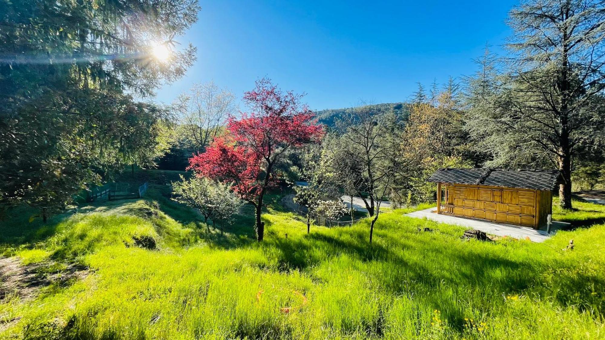 Suite Bambou Bien-Etre A Bali - Le Soleil Des Cevennes Сен-Жан-дю-Гар Экстерьер фото