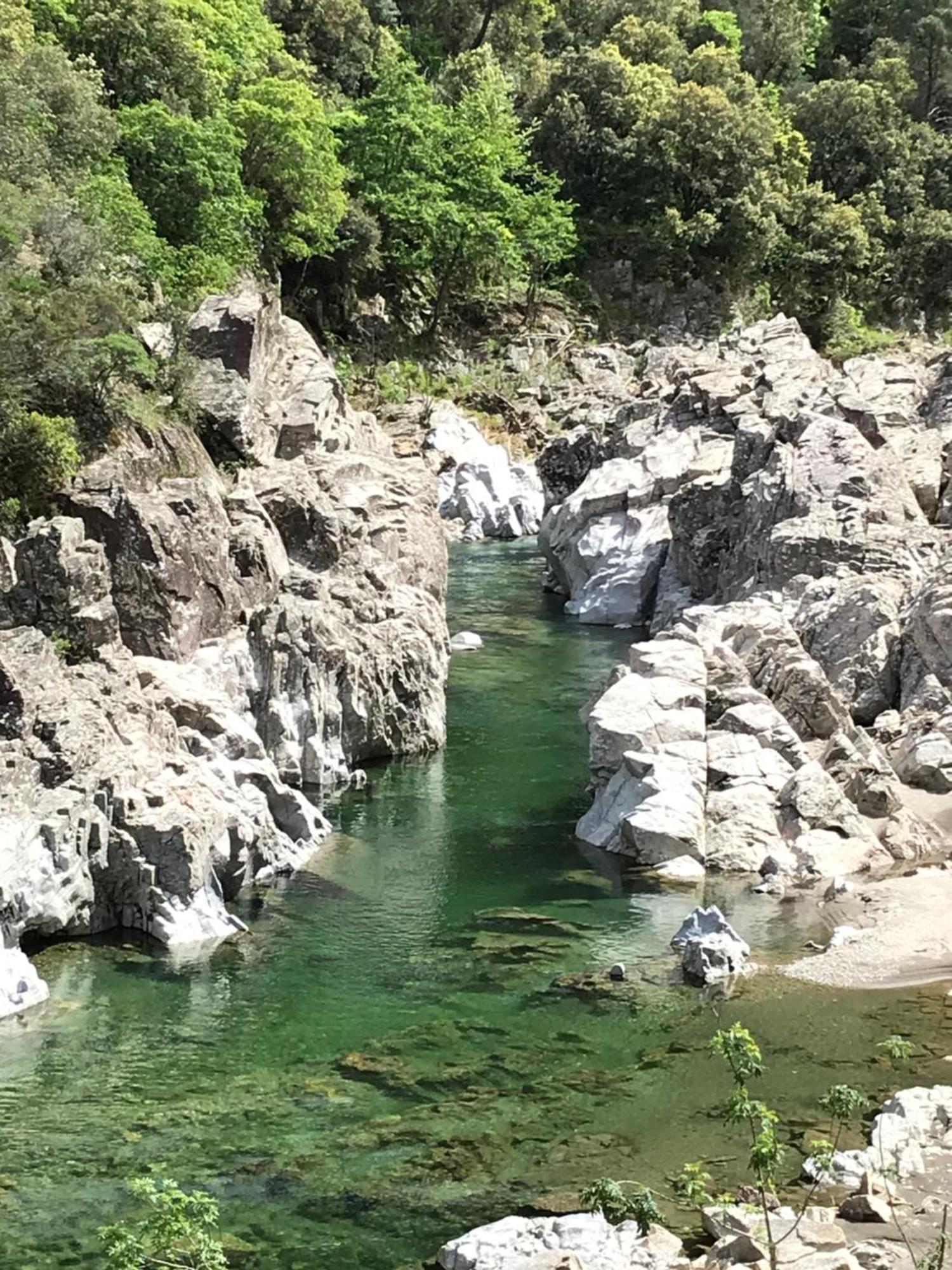 Suite Bambou Bien-Etre A Bali - Le Soleil Des Cevennes Сен-Жан-дю-Гар Экстерьер фото